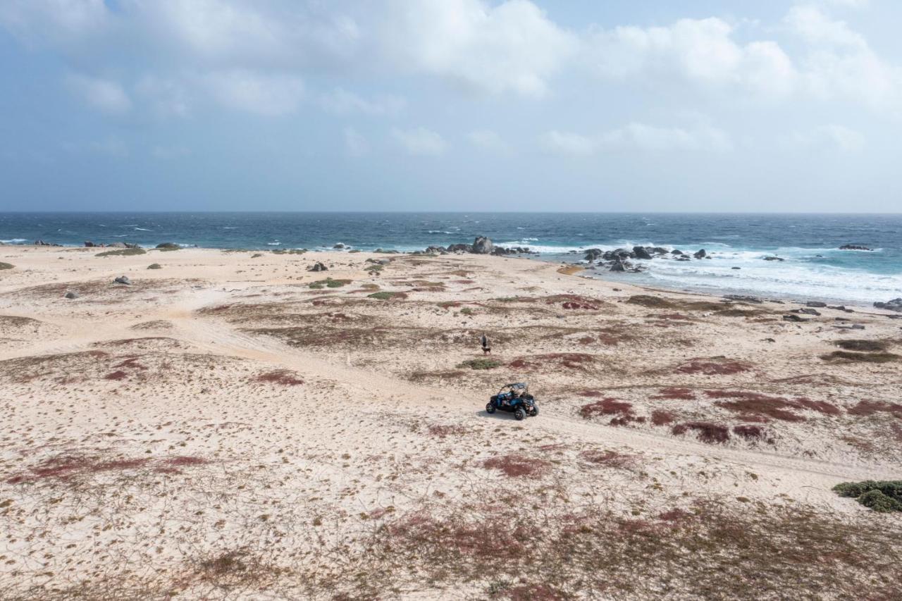 Marriott'S Aruba Ocean Club Ξενοδοχείο Παλμ Μπιτς Εξωτερικό φωτογραφία